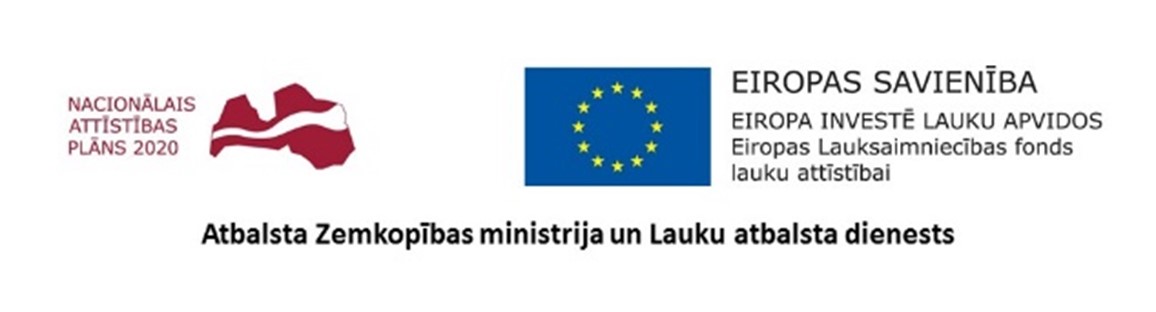 Logotipu kopa1