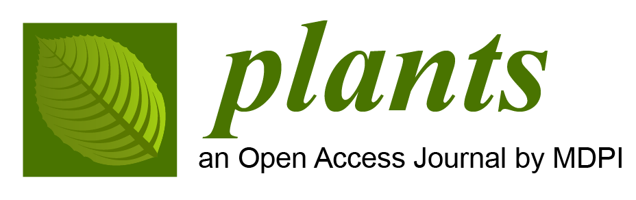 Plats partnership logo