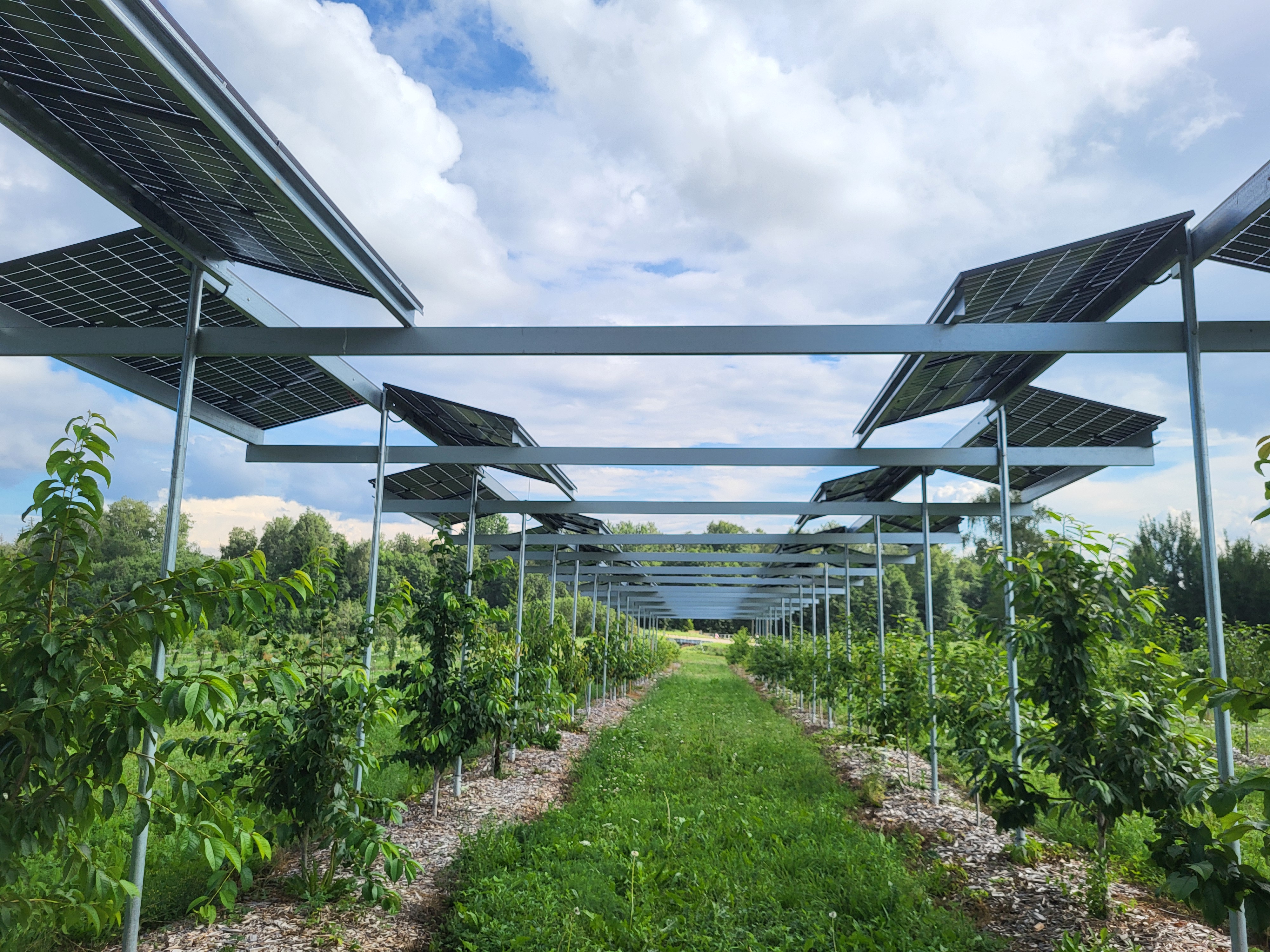 Hortivoltaics