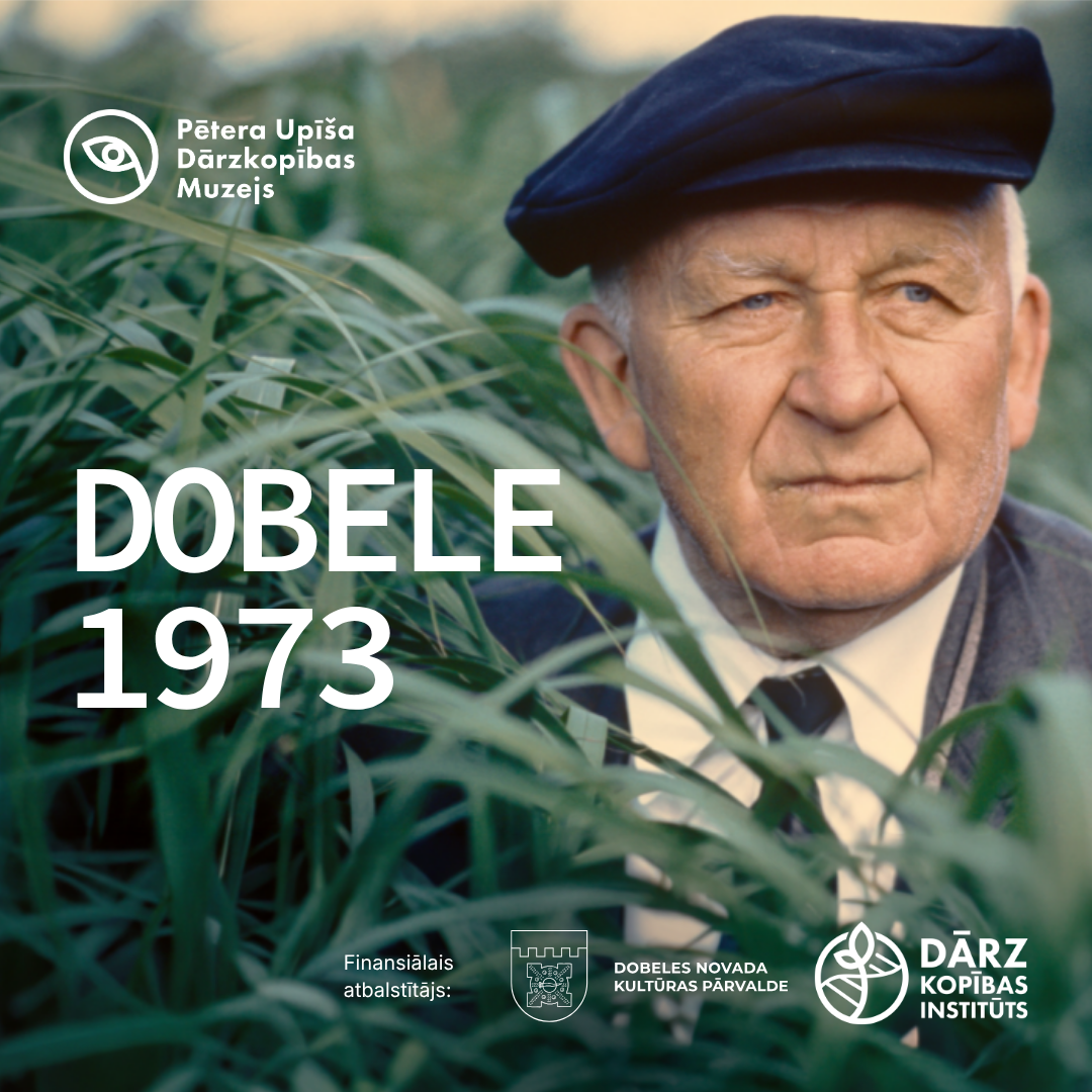 dobele 1973