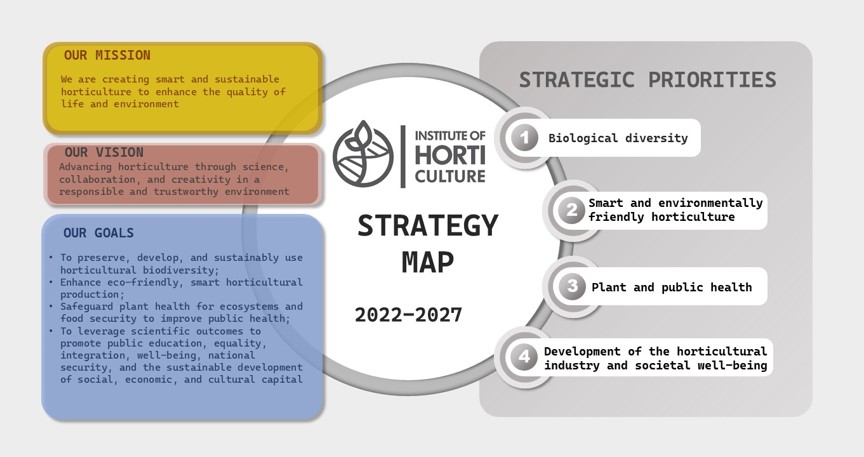 DI Strategy map