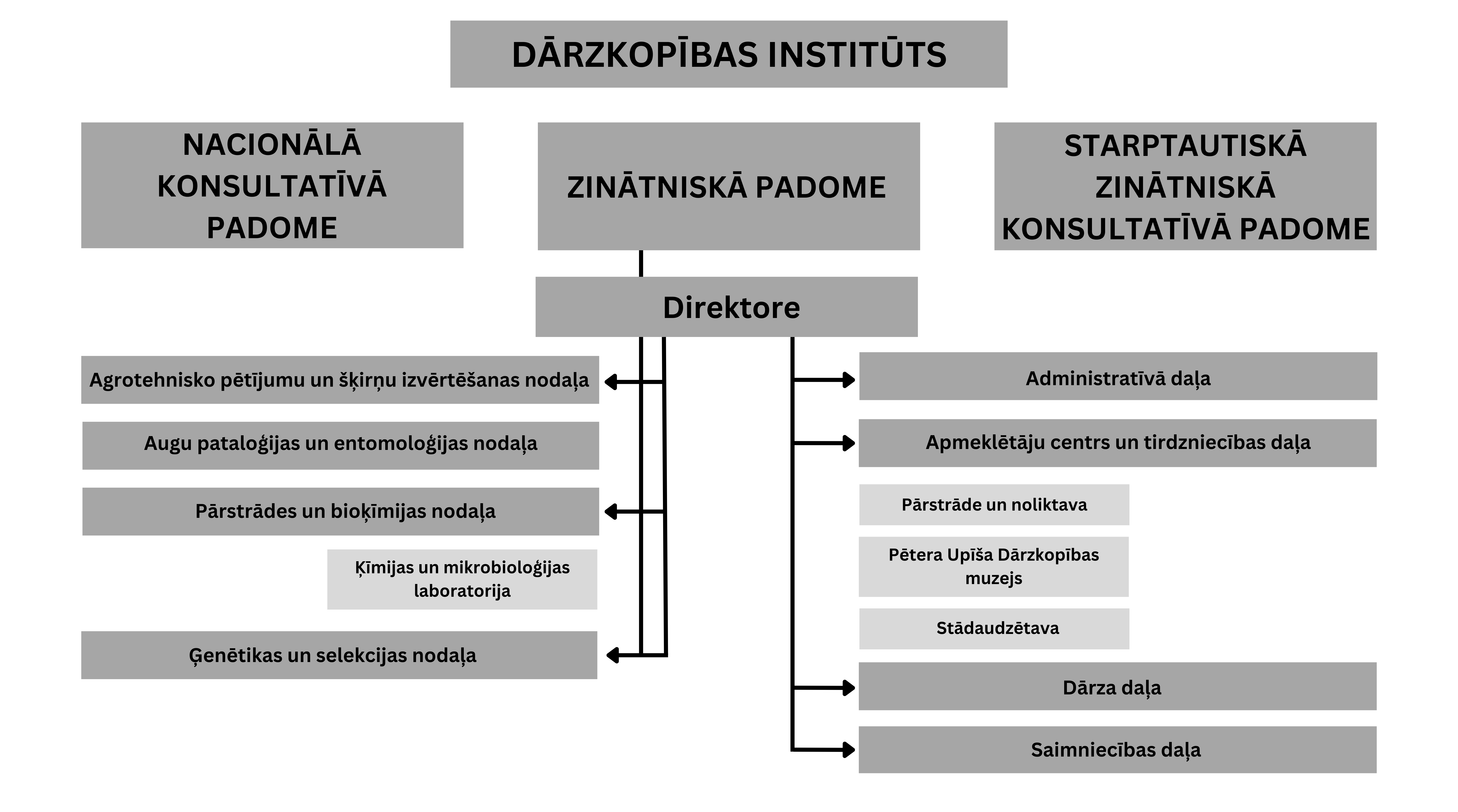 DI Struktūra