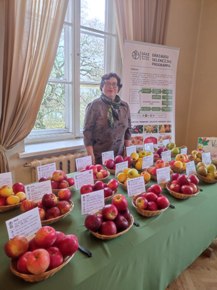 Ābolu izstāde - Vecauce