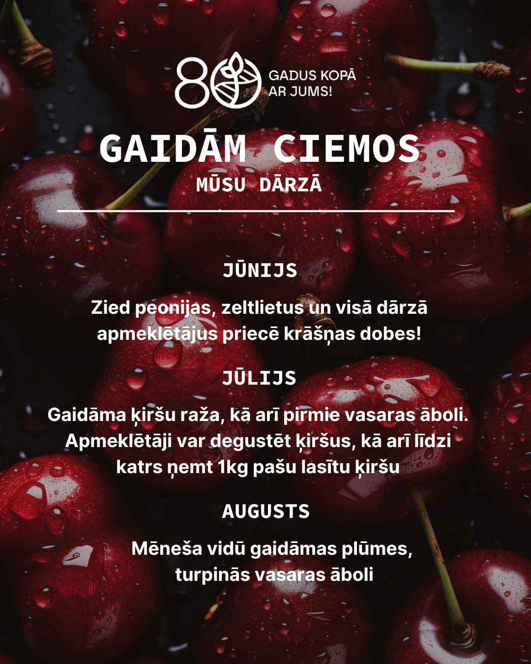 Sezonas