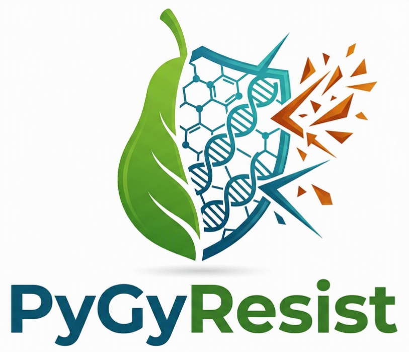 Project logo