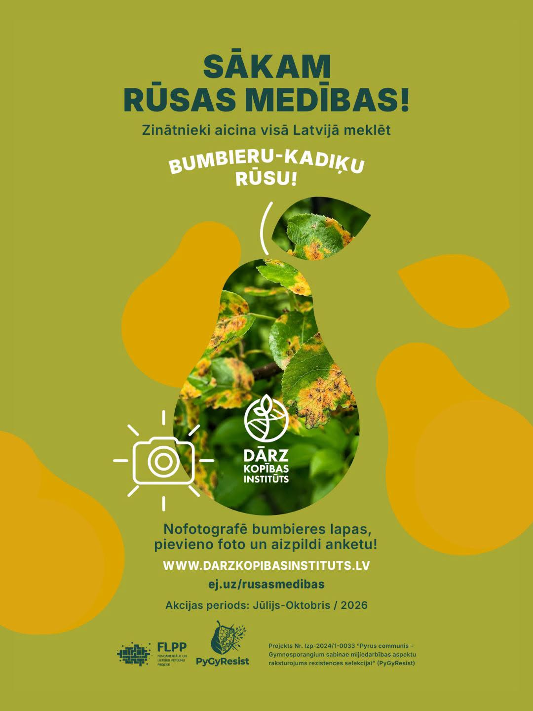 Medibas