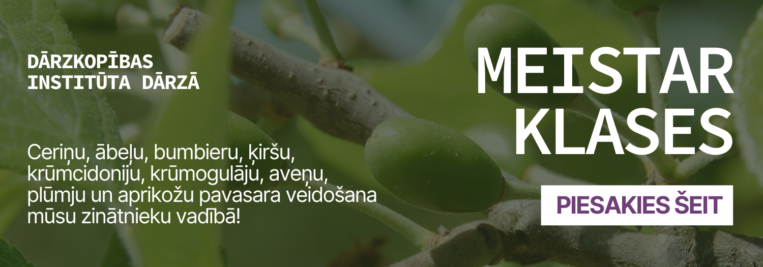 Nāc uz DI meistarklasēm!