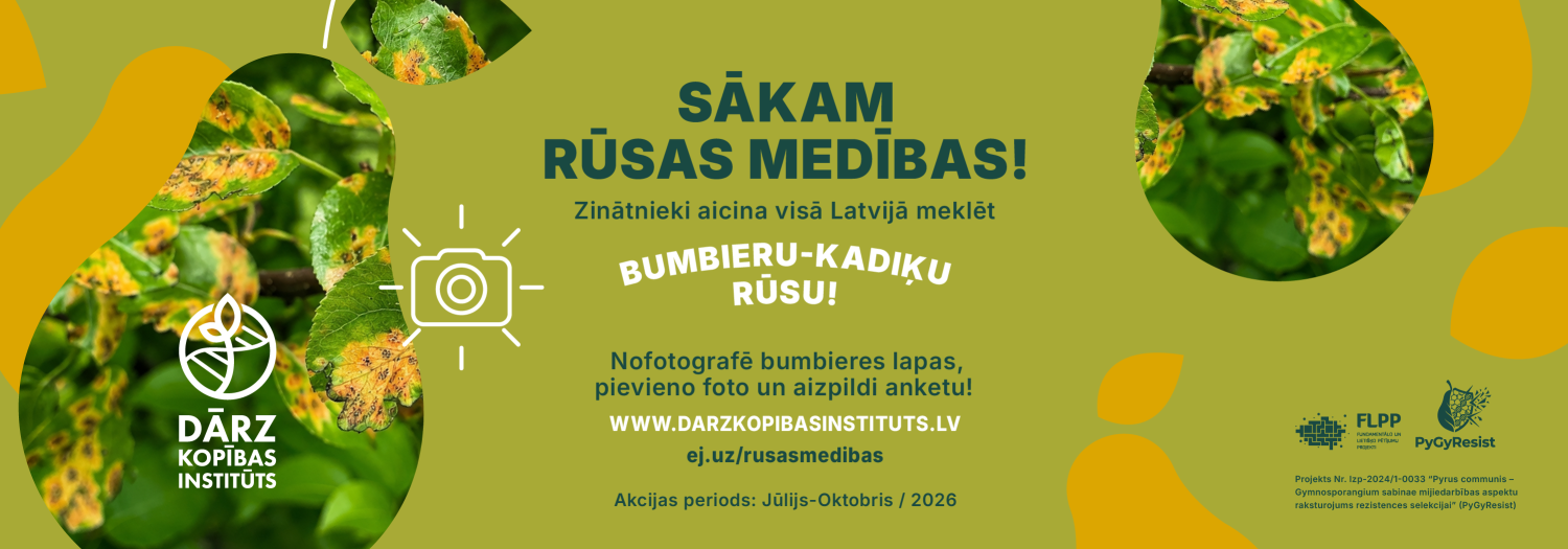 Sākam rūsas medības