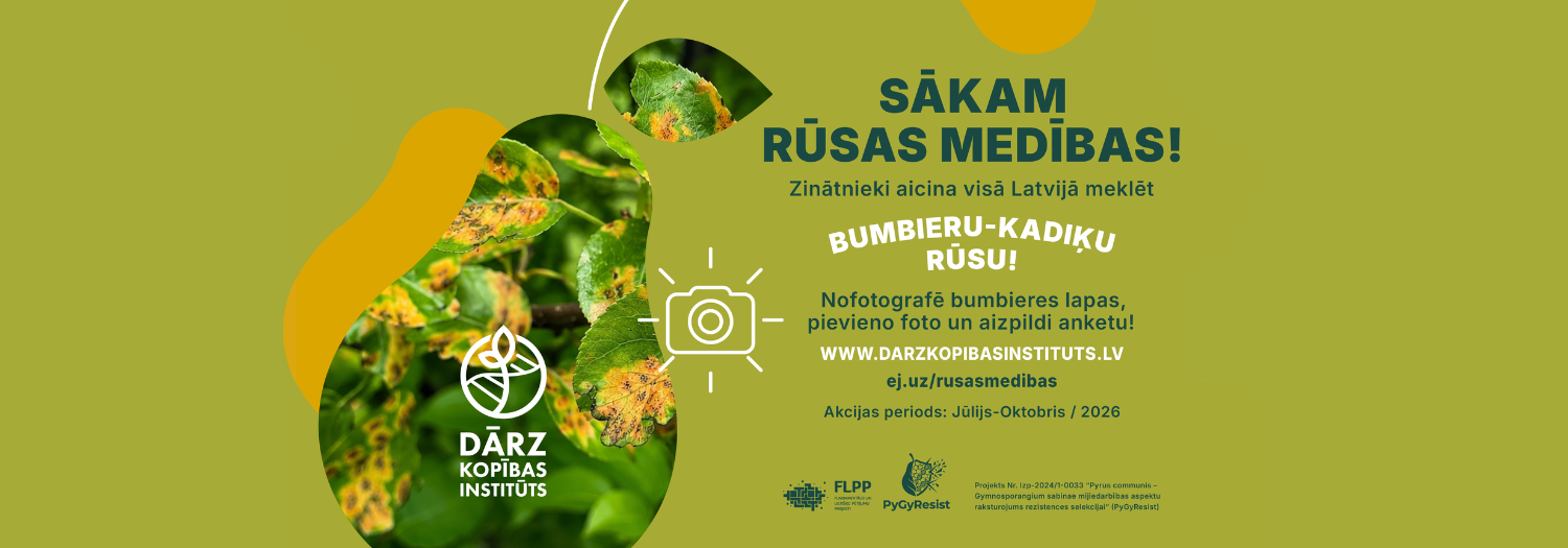 Sākam rūsas medības