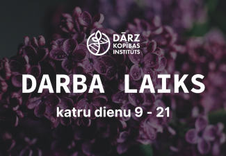 Darba laiks no 9 līdz 21 katru dienu