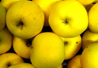 ābeles