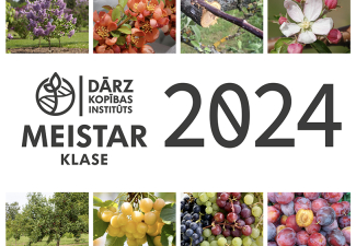 DI meistarklases 2024