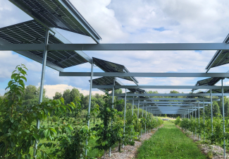 Hortivoltaics