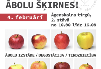 Ziemas āboli