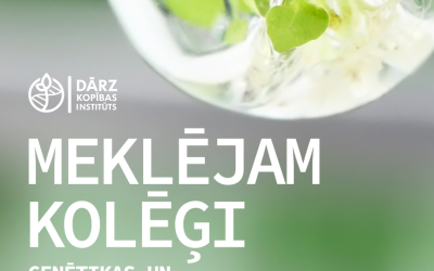 Publicitātes materiāls