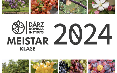 DI meistarklases 2024