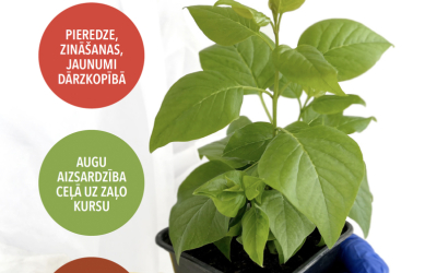 Zurnala_vaks_aprilis