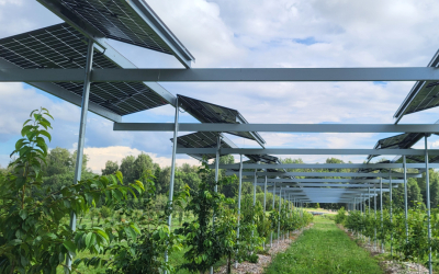 Hortivoltaics