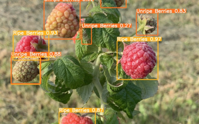 Inovatīvais projekts