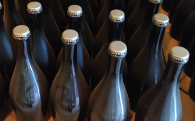 apple cider in bottles